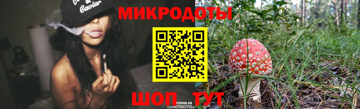 Галлюциногенные грибы мухоморы  Вход с VPN  Большой Камень  Галлюциногенные грибы прущие грибы 
