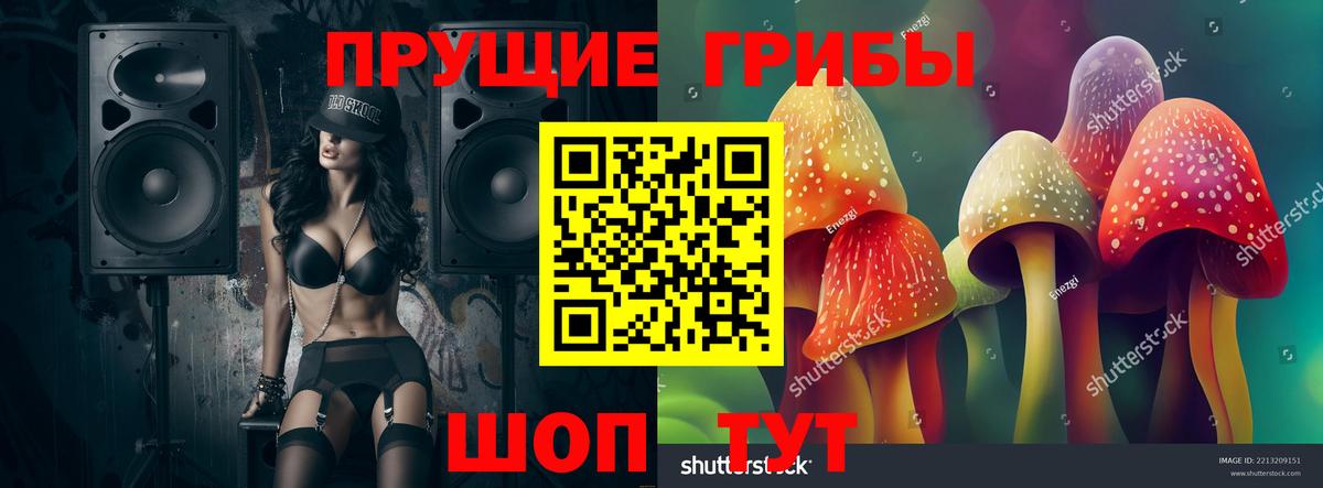 Галлюциногенные грибы Cubensis Большой Камень